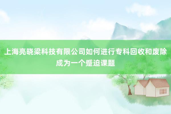 上海亮晓梁科技有限公司如何进行专科回收和废除成为一个蹙迫课题