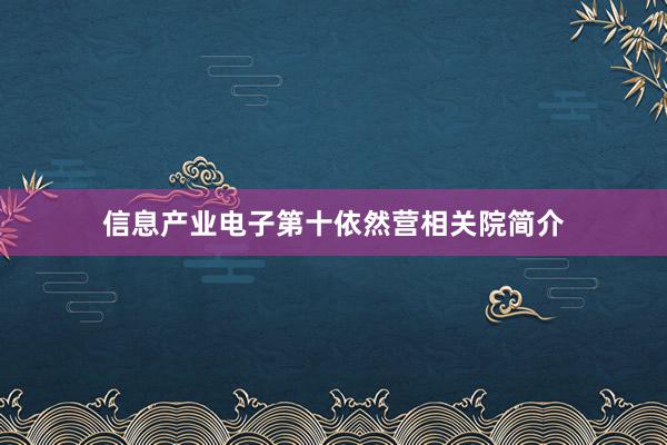 信息产业电子第十依然营相关院简介