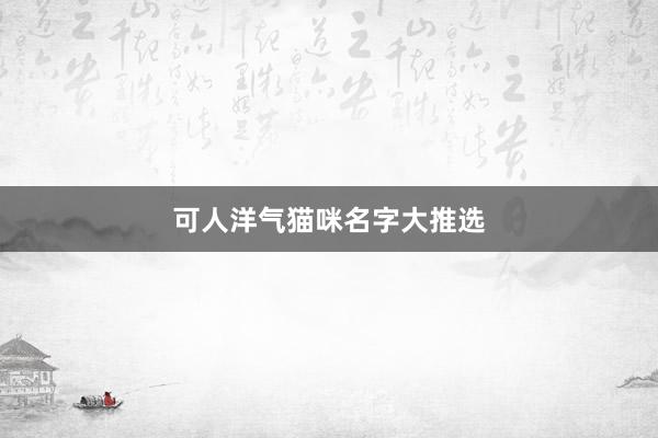 可人洋气猫咪名字大推选