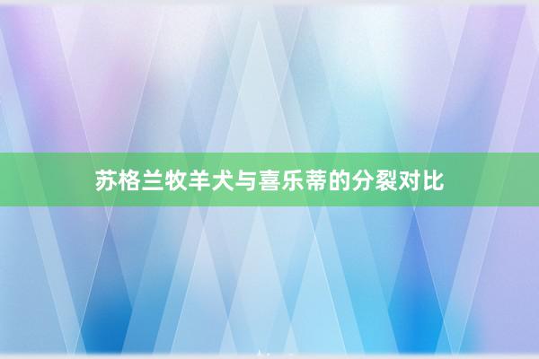 苏格兰牧羊犬与喜乐蒂的分裂对比